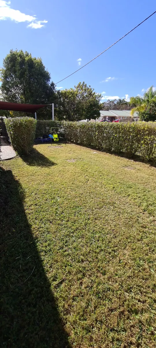 Healthy, freshly mown and striped green lawn in Margate